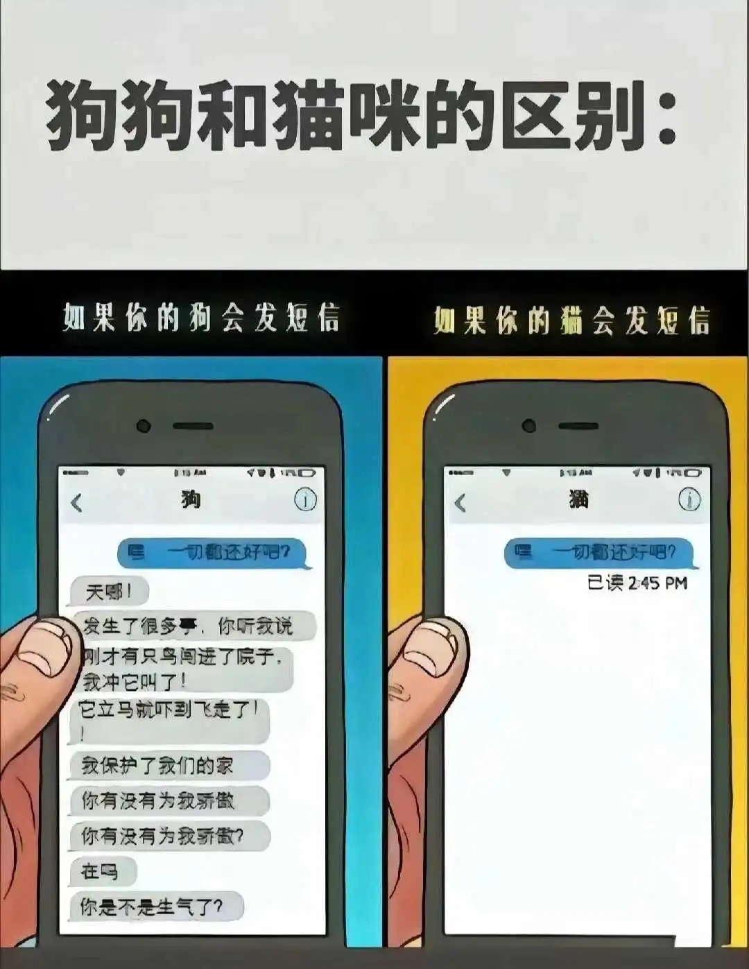 Spank - 微信图片_20250713011414