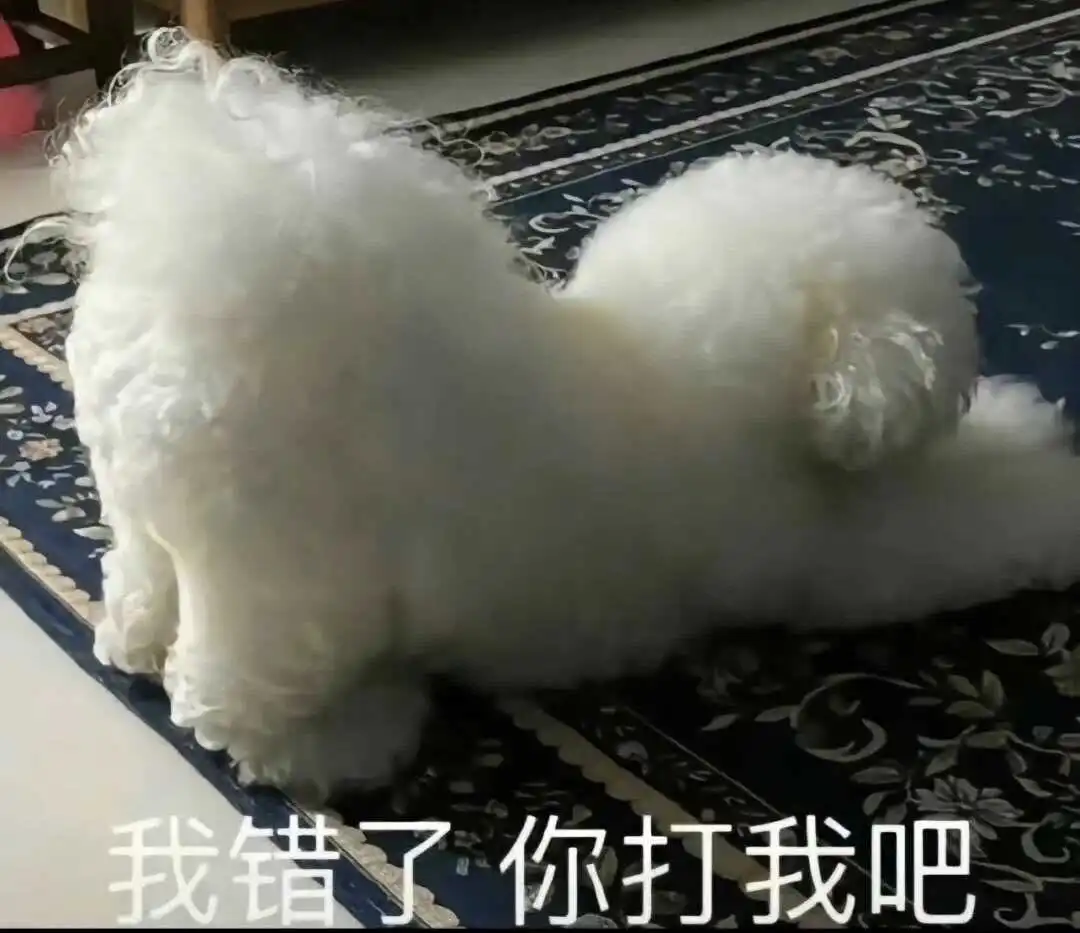 【西檬之家】小圈与大圈的区别：BDSM新人入圈必读指南