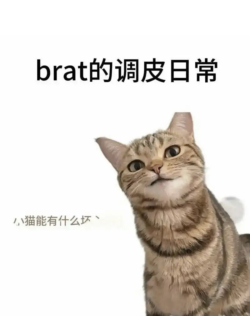 西檬之家-践踏癖是什么？BDSM新手入圈指南