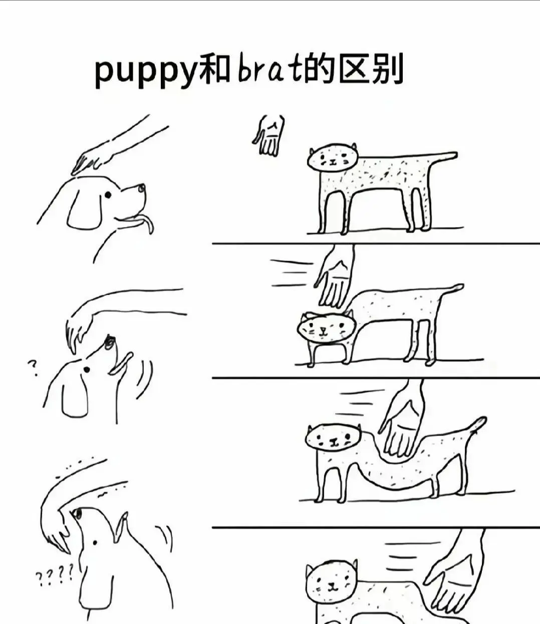 西檬之家-字母圈的M是什么？