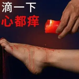brat属性 - 2025-11-13 232552