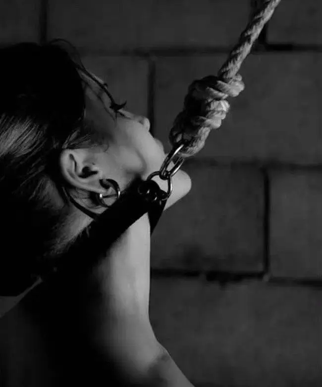 BDSM - 微信图片_20251203212920_111_19