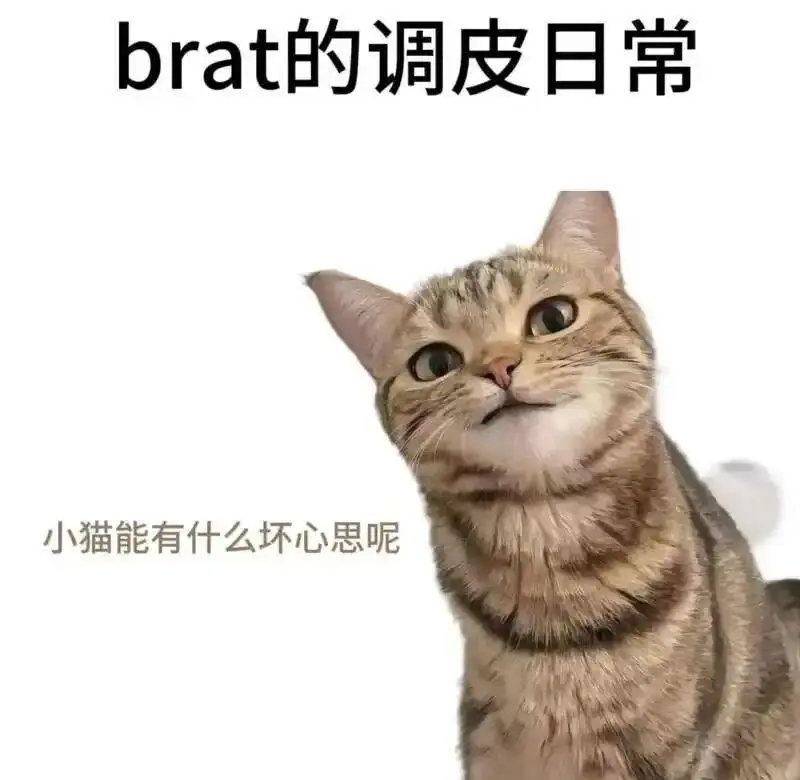 西檬之家-小圈和大圈的区别？字母圈新人入圈指南